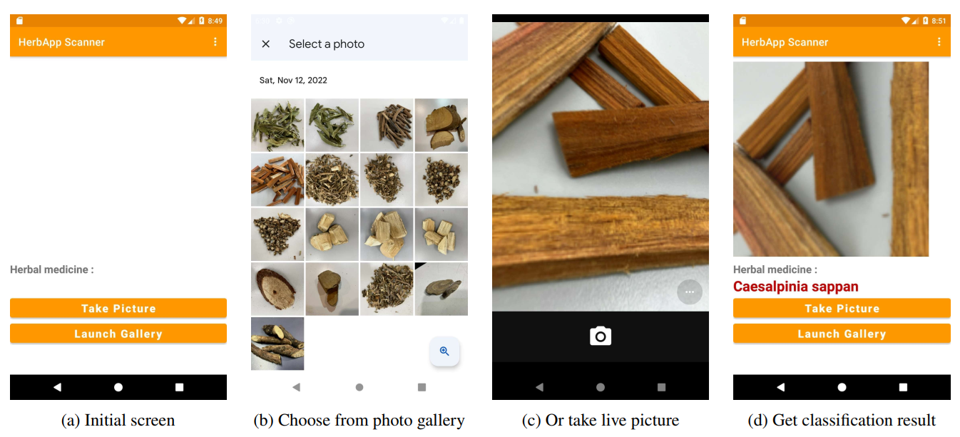 Overcoming Data Limitations in Thai Herb Classification with Data Augmentation and Transfer Learning